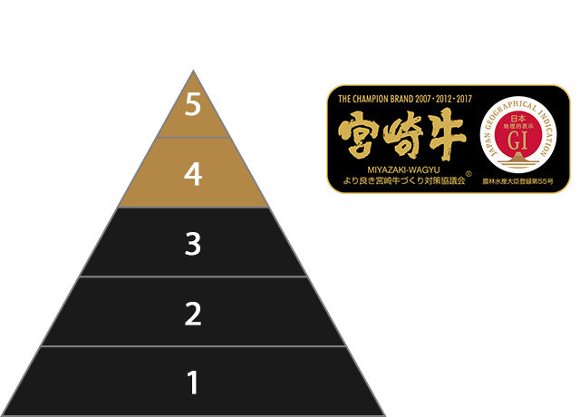 肉質等級